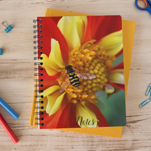 Hover Fly on Orange and Yellow Dahlia Notebook