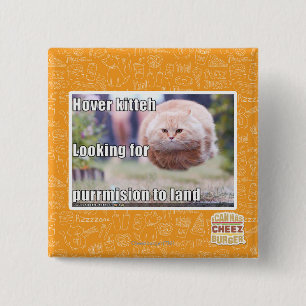 Hover kitteh 2 inch square button