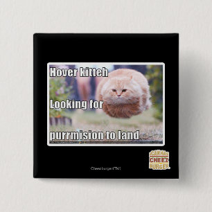 Hover kitteh 2 inch square button