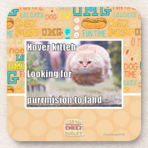 Hover kitteh coaster