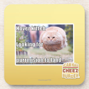 Hover kitteh coaster