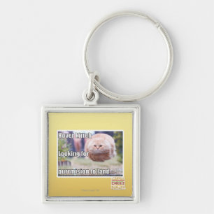 Hover kitteh keychain