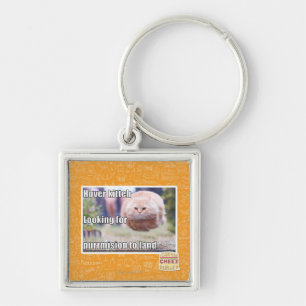 Hover kitteh keychain
