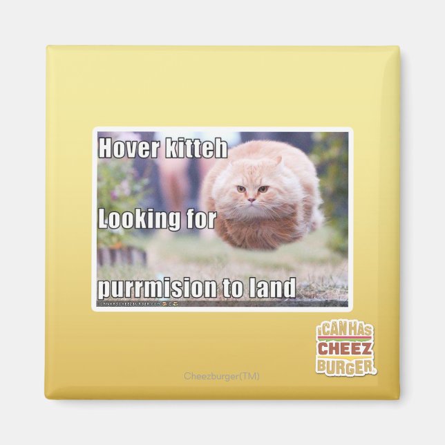 Hover kitteh magnet (Front)