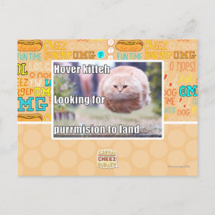 Hover kitteh postcard