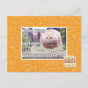 Hover kitteh postcard