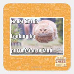 Hover kitteh square sticker