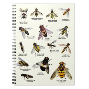 Hoverflies du R-U - carnet