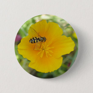 Hoverfly and Californian Poppy Button