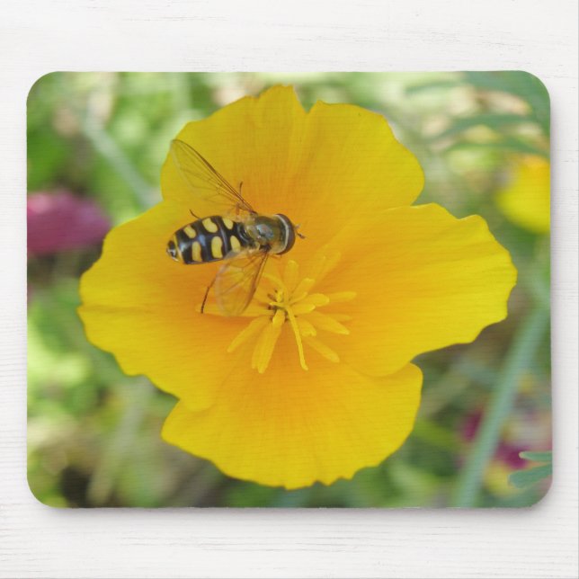 Hoverfly and Californian Poppy Mousepad (Front)