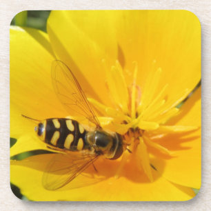 Hoverfly and Flower Cork Coaster