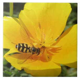 Hoverfly and Flower Tile