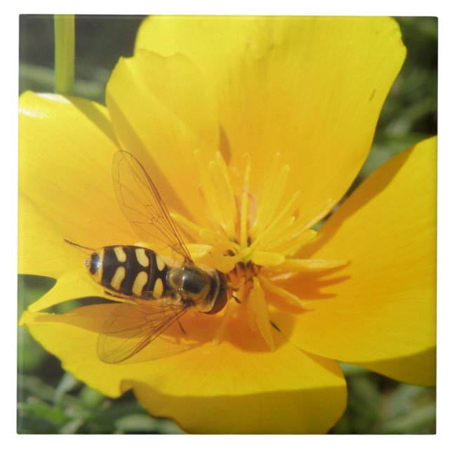 Hoverfly and Flower Tile (Front)