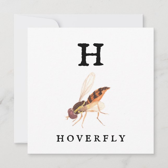 Hoverfly  card (Front)