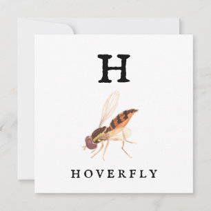 Hoverfly  card