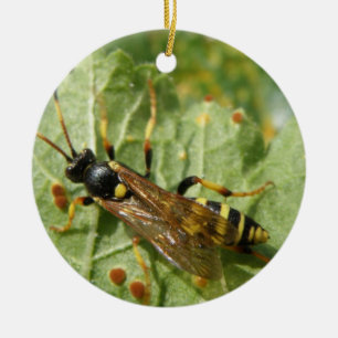 Hoverfly Custom Birthday Ceramic Ornament