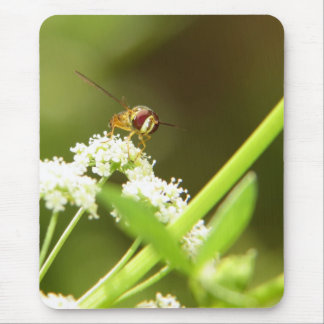 Hoverfly in Celery Mouse Pad