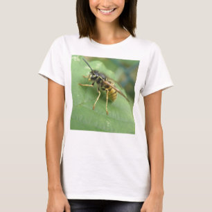 Hoverfly Macro Ladies T Shirt