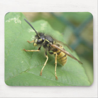 Hoverfly Macro Mousepad
