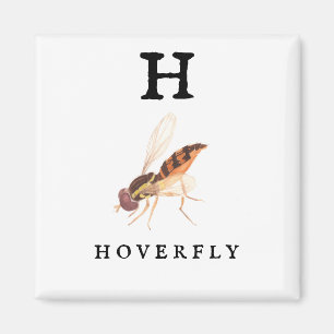 Hoverfly  magnet
