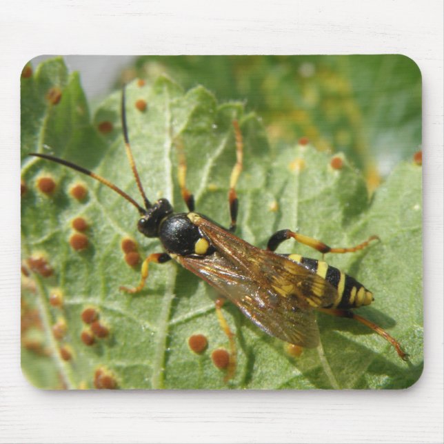 Hoverfly Mousepad (Front)