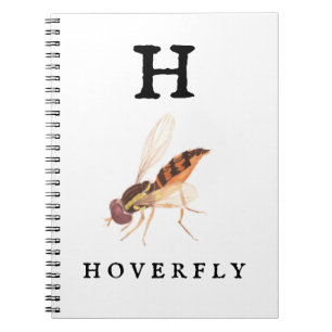 Hoverfly  notebook