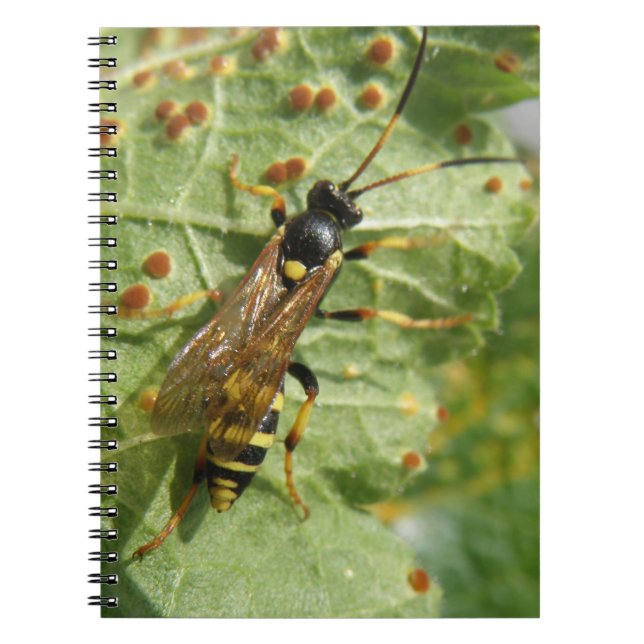Hoverfly Notebook (Front)