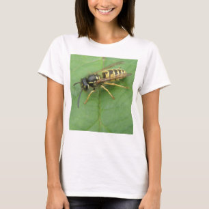 Hoverfly on a Leaf Ladies T Shirt