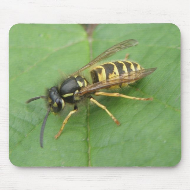 Hoverfly on a Leaf Mousepad (Front)