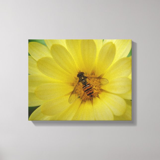 Hoverfly on a Marigold Canvas Print (Front)