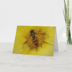 Hoverfly on a Marigold Greeting Card