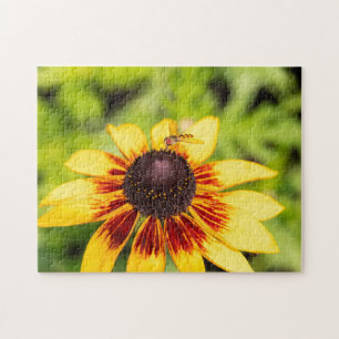 Hoverfly On Rudbeckia  Jigsaw Puzzle