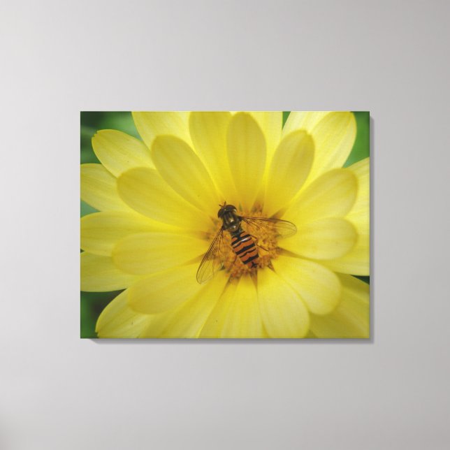 Hoverfly sur une toile Marigold imprimer (Recto)