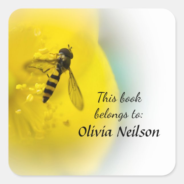 Hoverfly "This book belongs to" sticker (Front)