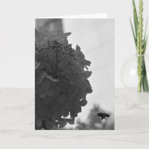 Hovering Honey Bee, card