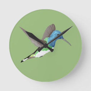 Hovering Jacobin Hummingbird - transparent.   Round Clock