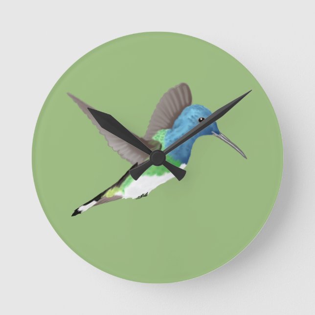 Hovering Jacobin Hummingbird - transparent.   Round Clock (Front)