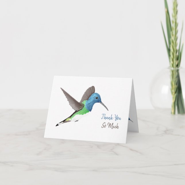 Hovering Jacobin Hummingbird - transparent.  Thank You Card (Front)