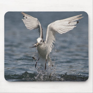 Hovering Kittiwake Mouse Pad