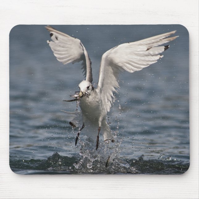 Hovering Kittiwake Mouse Pad (Front)