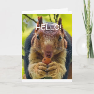 HOW ABOUT A "TALKING SQUIRREL" FOR YOUR BIRTHDAY C CARD