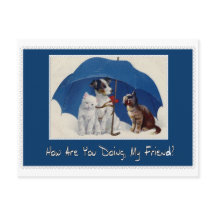 how are you doing my friend postcard?