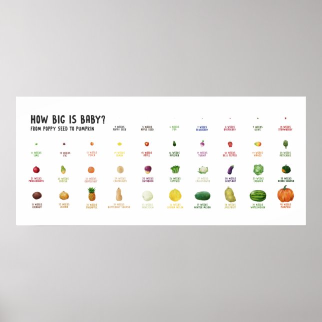 How Big is Baby? Pregnancy size fruit poster (Front)