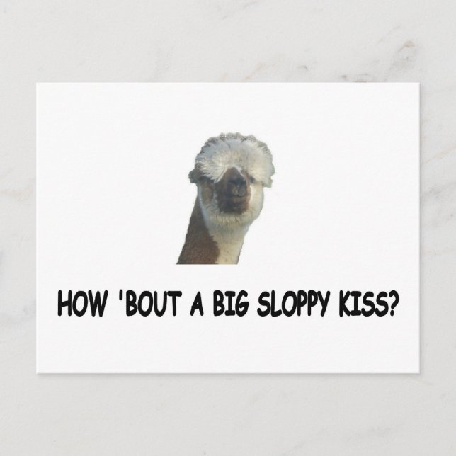 How 'bout a big sloppy kiss? postcard (Front)