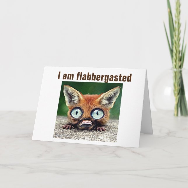 "HOW" CAN YOU BE "18" TIME SURE FLIES CARD (Front)