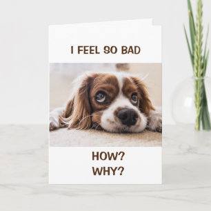 HOW COULD I?  FEEL SO BAD BELATED BIRTHDAY CARD
