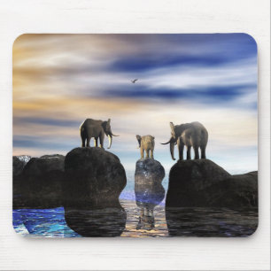 how did he get there, fred? mouse pad