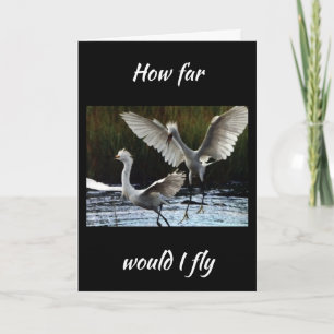 HOW FAR WOULD I FLY TO SAY *HAPPY BIRTHDAY* CARD