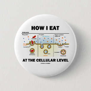 How I Eat At The Cellular Level (Endocytosis) 2 Inch Round Button