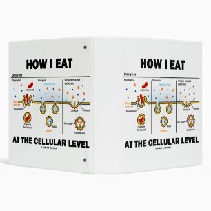 How I Eat At The Cellular Level Endocytosis Binder